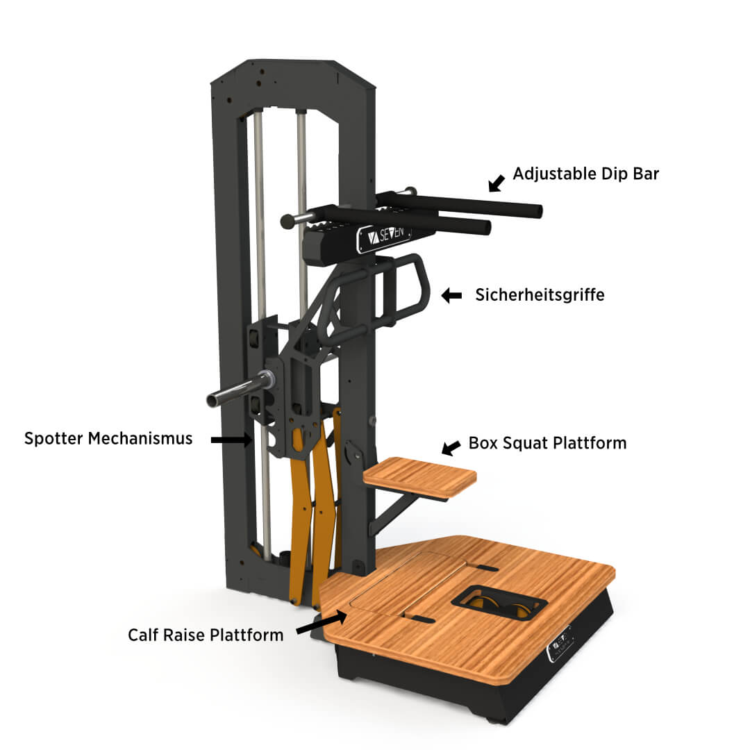 Belt Squat Adjustable Dip Calf Raise Combo