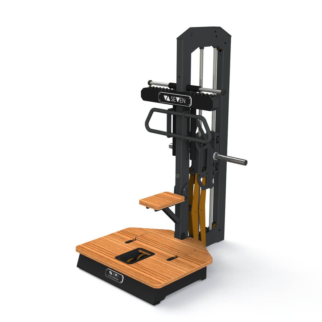 Belt Squat Adjustable Dip Station Combo